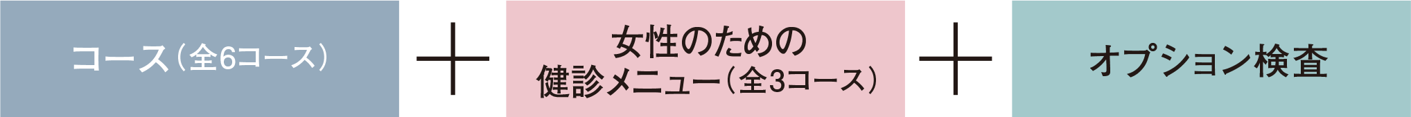 コース(全6コース)+女性のための
健診メニュー(全3コース)+ オプション検査